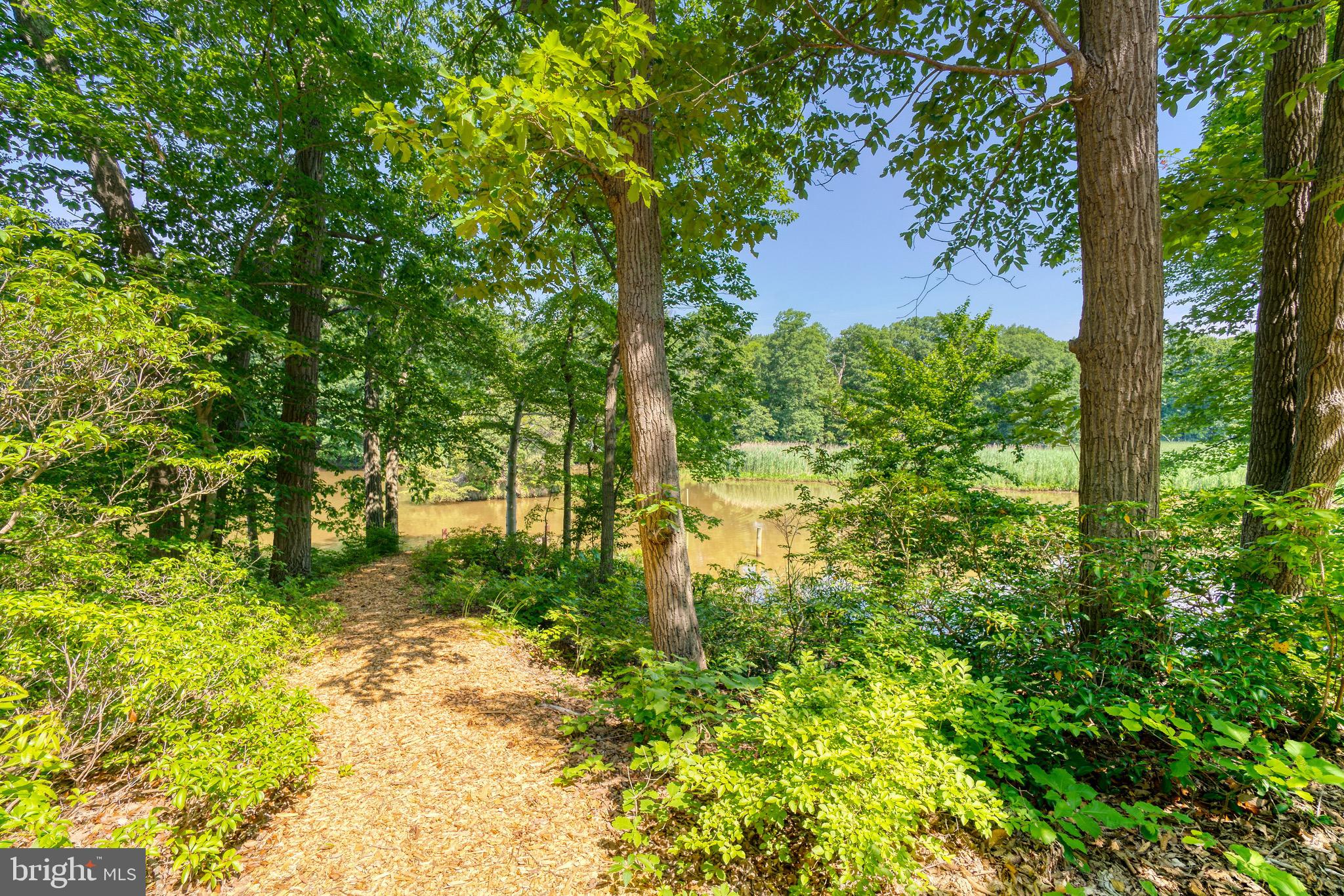 10806 Mallard Point Road Chestertown, MD 21620 - Photo 23 of 28 view off deck