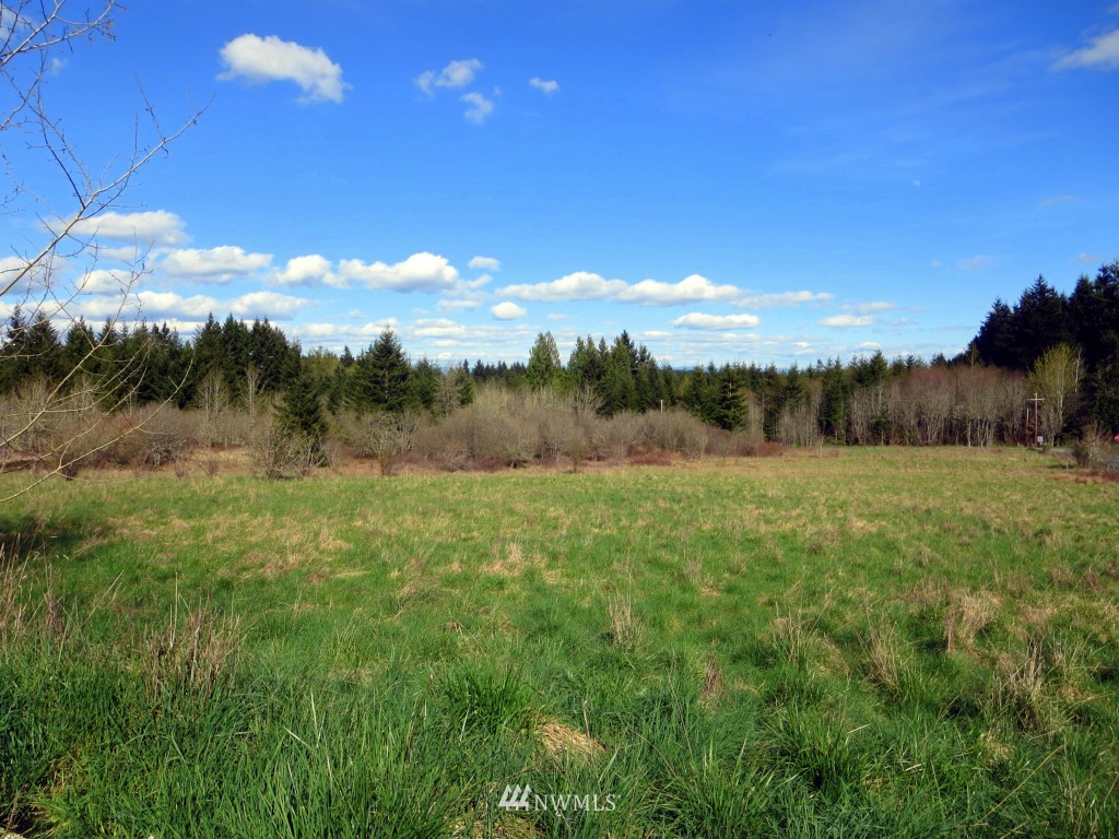 116 Rayburn Road West Winlock, WA 98596 - Photo 25 of 25