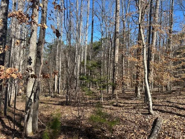 a view of a yard next to a yard