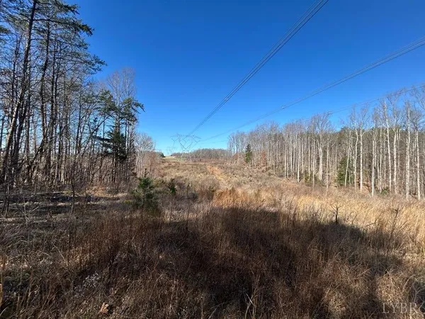 $85,000 | 0 Saber Court, Goode, VA 24556