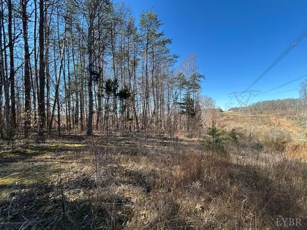 $85,000 | 0 Saber Court, Goode, VA 24556