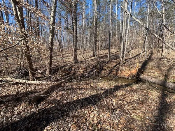 $85,000 | 0 Saber Court, Goode, VA 24556
