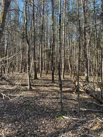 a view of outdoor space with lots of trees