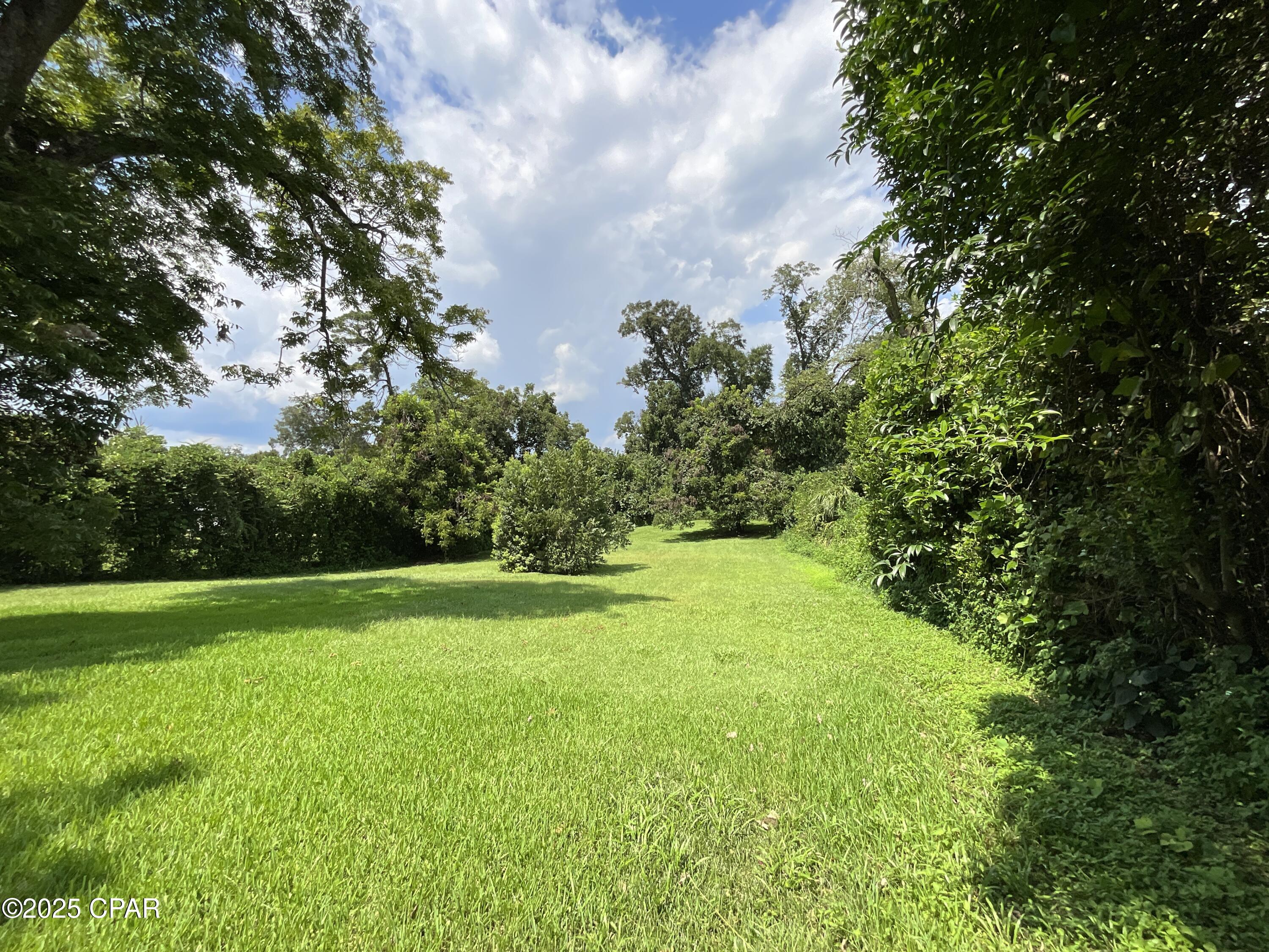 4388 Clinton Street Marianna, FL 32446 - Photo 8 of 22