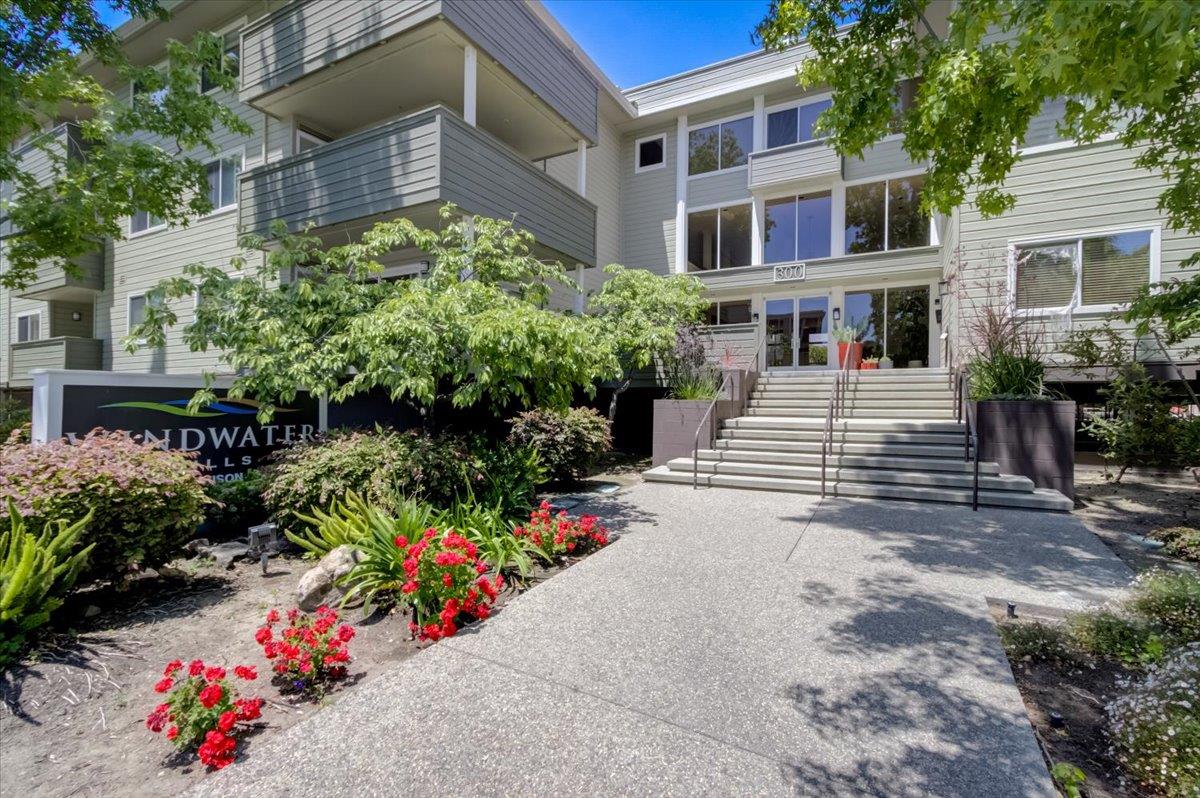 a view of a garden with flowers and trees