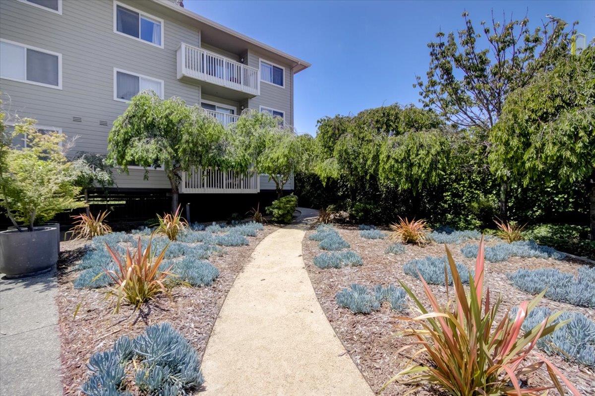 300 Murchison Drive, Unit 311 Millbrae, CA 94030 - Photo 20 of 25 a view of a back yard with flower plants
