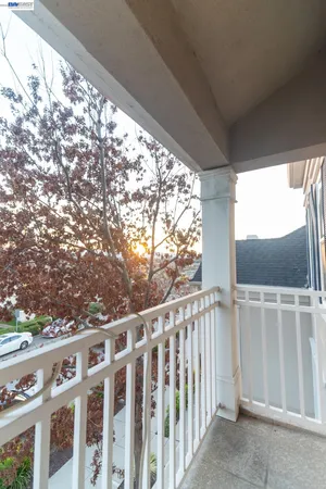 a room with furniture and a potted plant
