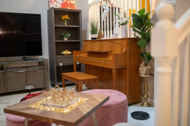 a room with furniture and a potted plant