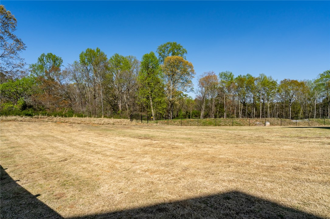 249 Bronson Ridge Anderson, SC 29621 - Photo 41 of 50