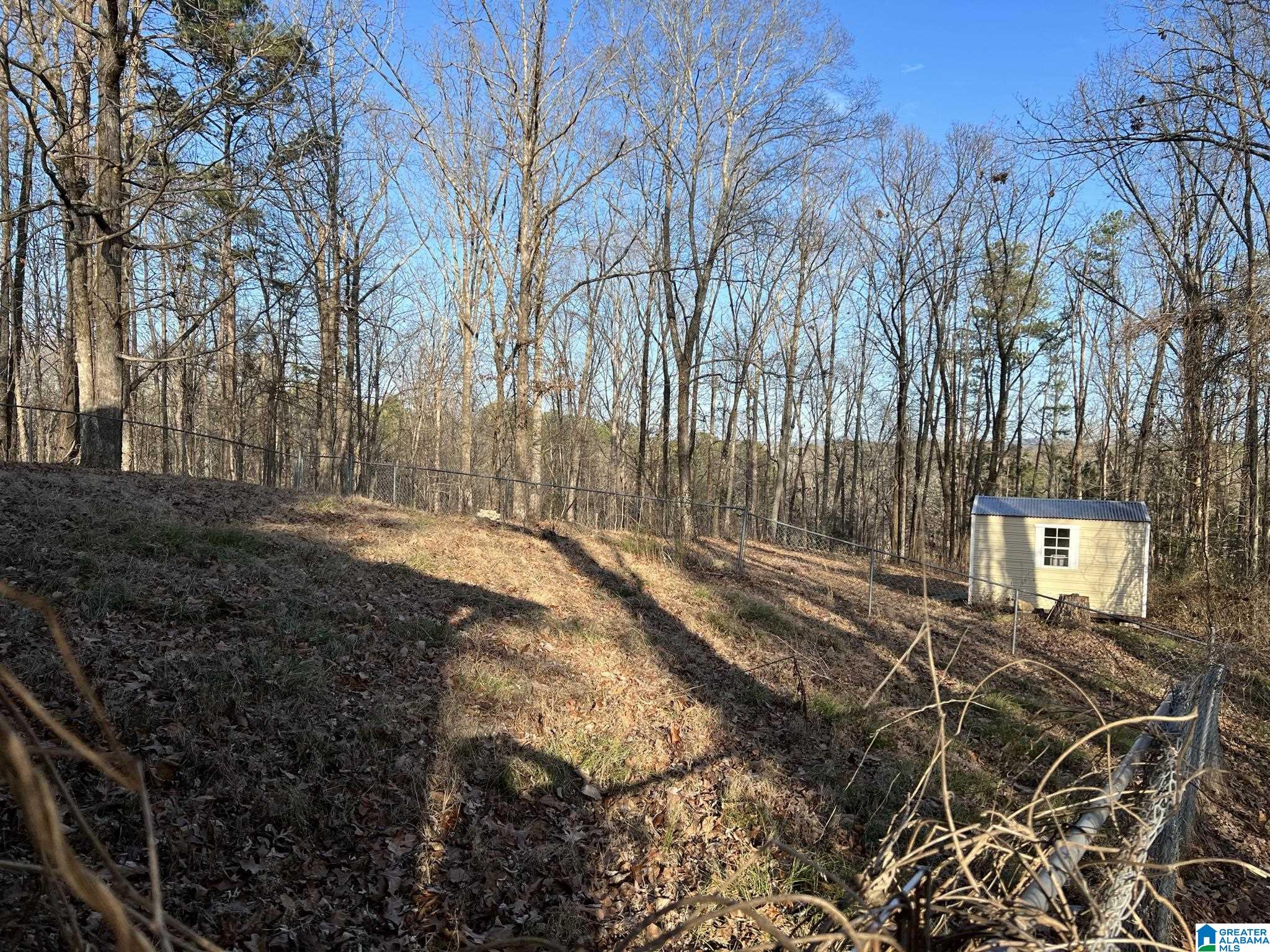 825 Rock Ridge Road Weaver, AL 36277 - Photo 17 of 21