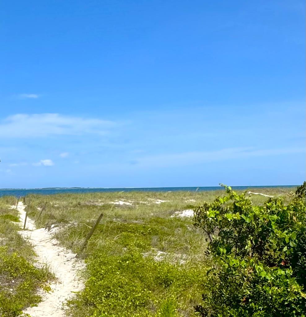 151 Beach Street Port St. Joe, FL 32456 - Photo 26 of 29