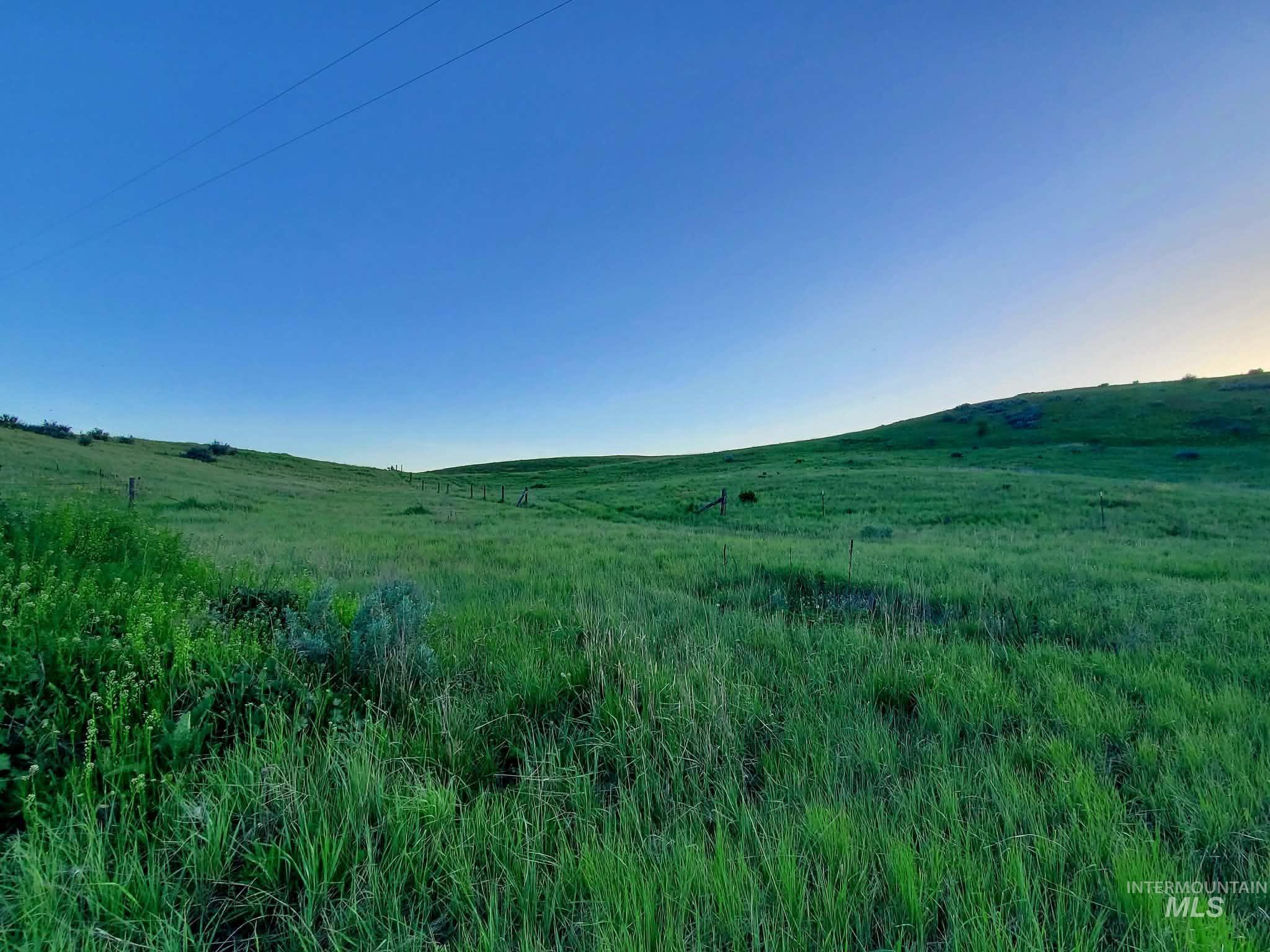2216 Swisher Road Indian Valley, ID 83632 - Photo 3 of 47