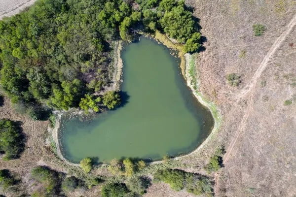 $990,000 | 1998 Ozro Road, Venus, TX 76084