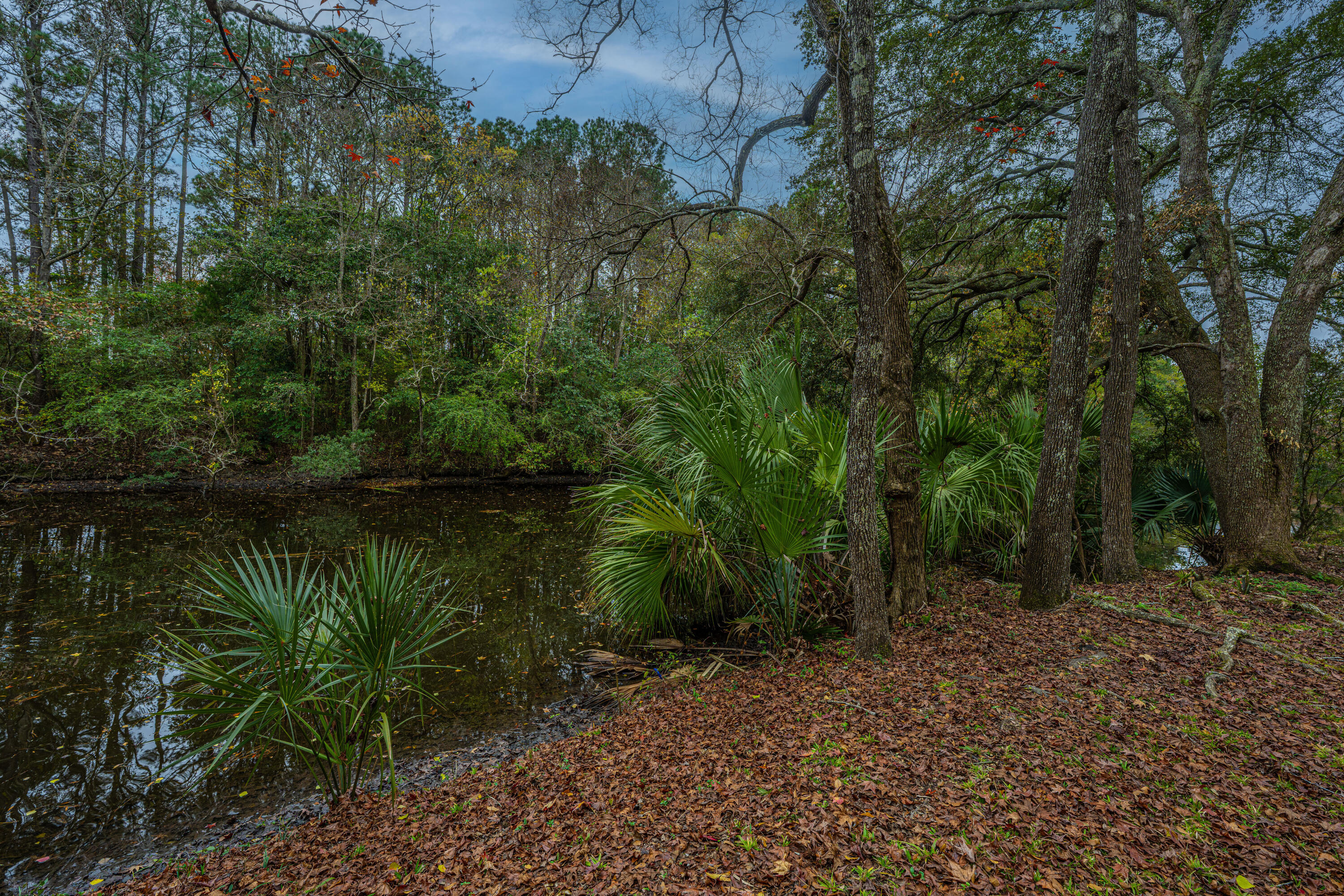 1561 Montclair Street Charleston, SC 29407 - Photo 49 of 82 1561Montclair085