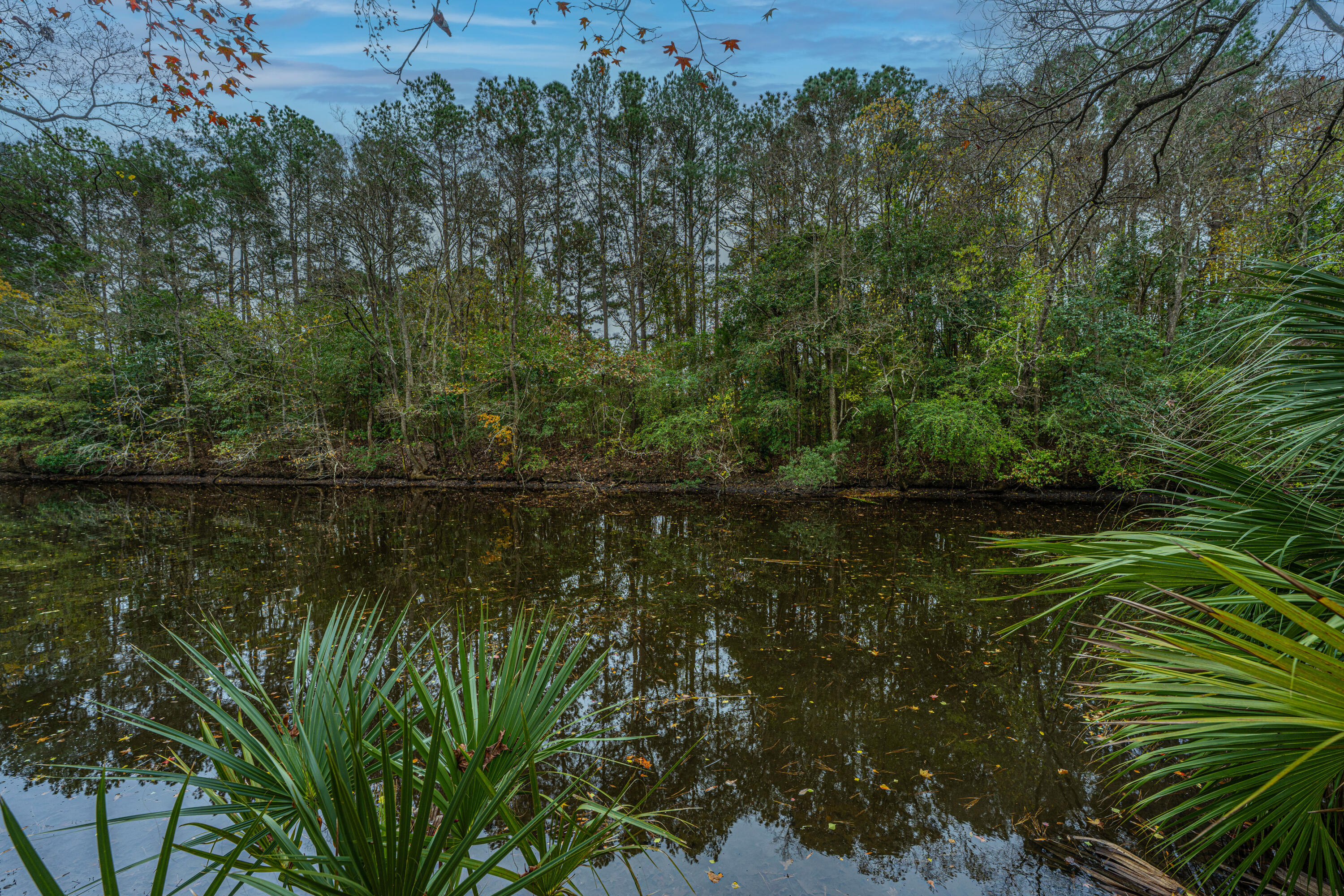 1561 Montclair Street Charleston, SC 29407 - Photo 50 of 82 1561Montclair086
