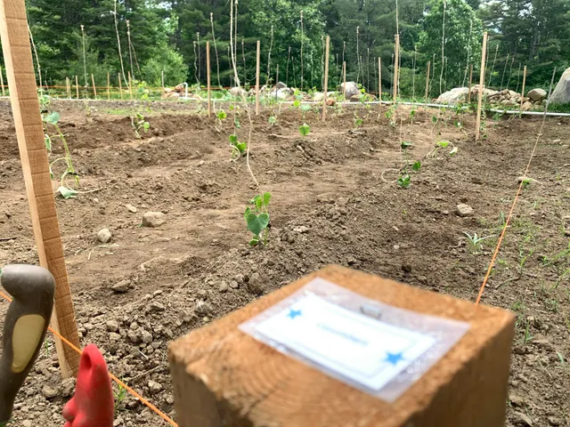 $335,000 | 286 Lexington Road, Kingfield, ME 04947