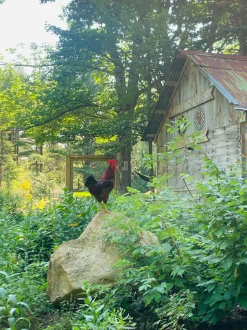 $335,000 | 286 Lexington Road, Kingfield, ME 04947