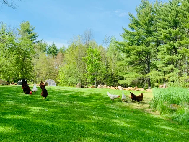 $335,000 | 286 Lexington Road, Kingfield, ME 04947