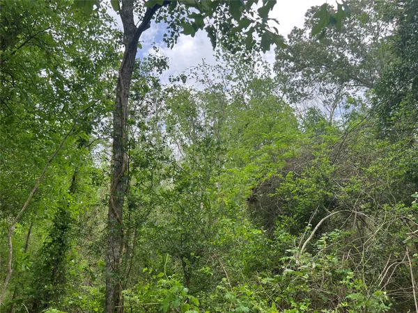 $16,333 | 0 Cemetery Road, Liberty, TX 77575