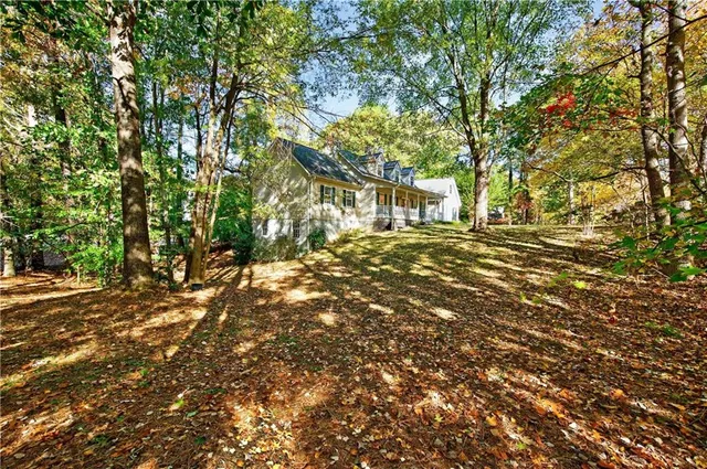 a view of a tree with a yard