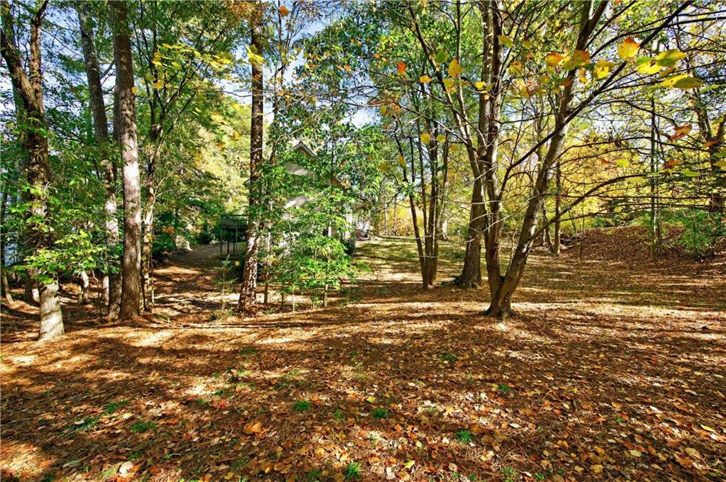 4460 Suwanee Dam Road Suwanee, GA 30024 - Photo 35 of 38 a view of a tree with a yard