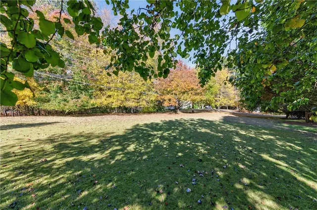 a view of house with backyard and tree