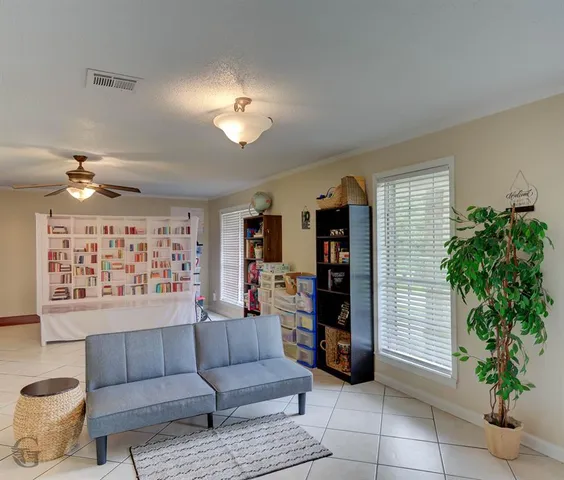 a living room with furniture and potted plant