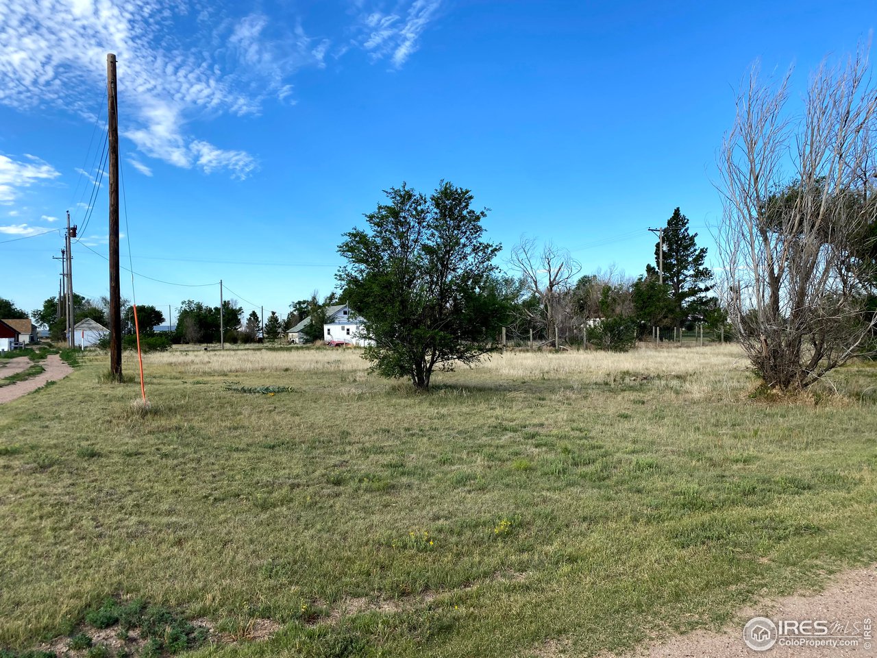 294 Howell Street Vona, CO 80861 - Photo 5 of 7 a view of a yard with a tree