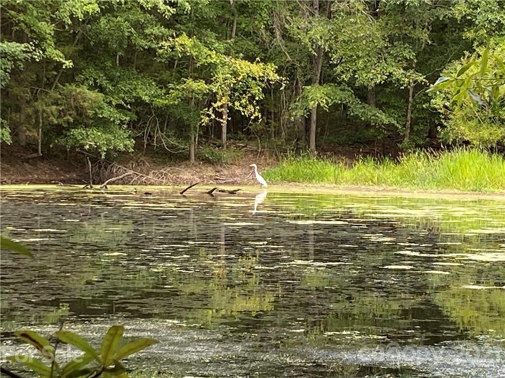 0 Shelf Road Marshville, NC 28103 - Photo 5 of 11 a view of a water view