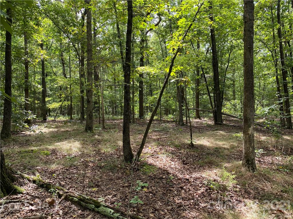 0 Shelf Road Marshville, NC 28103 - Photo 8 of 11 a backyard of a house with lots of green space