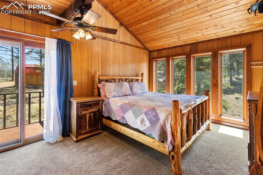 351 Porphry Road Florissant, CO 80816 - Photo 14 of 43 Primary Bedroom with deck