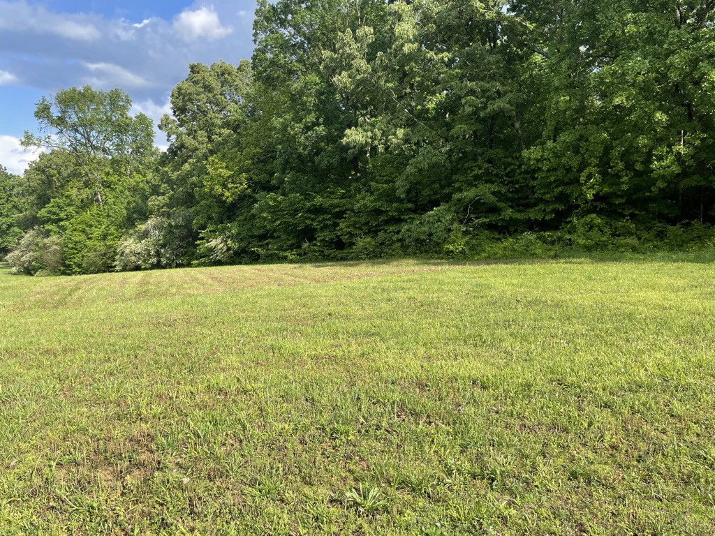 0 South Tidwell Road Bon Aqua, TN 37025 - Photo 3 of 4 Gallery Image 3