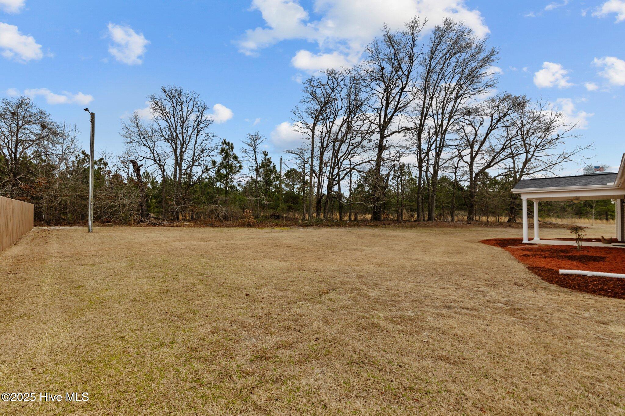 1592 Neill Sinclair Road Raeford, NC 28376 - Photo 4 of 35 7-web-or-mls-707A8130