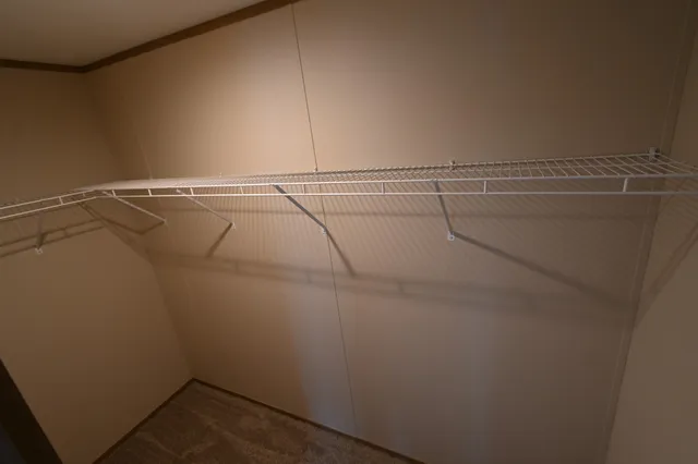 a white house with a large tree in front of it