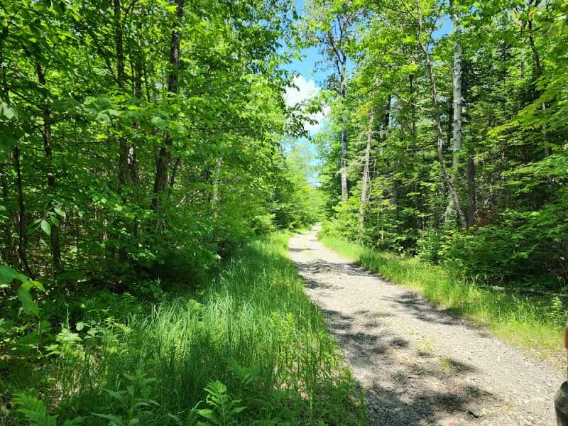 8 McManus Tote Road Mount Chase, ME 04765 - Photo 3 of 10 20250624_124940