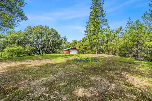 a view of a trees with a yard
