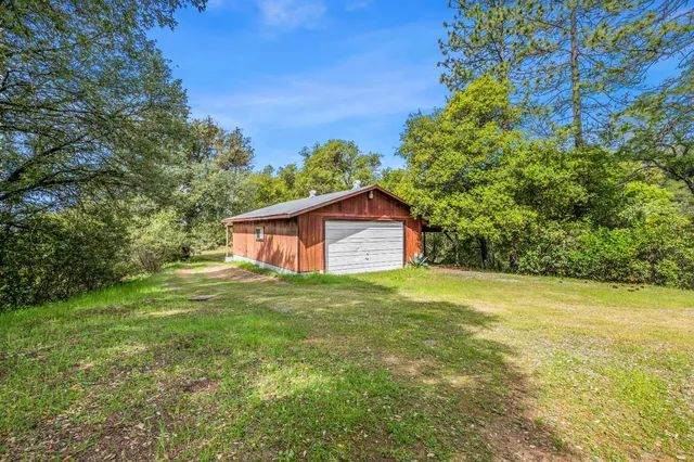 a view of a big yard with large trees