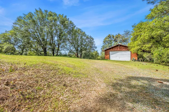 a view of a yard with a trees