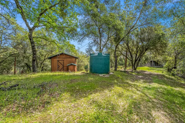 a view of a lush green forest