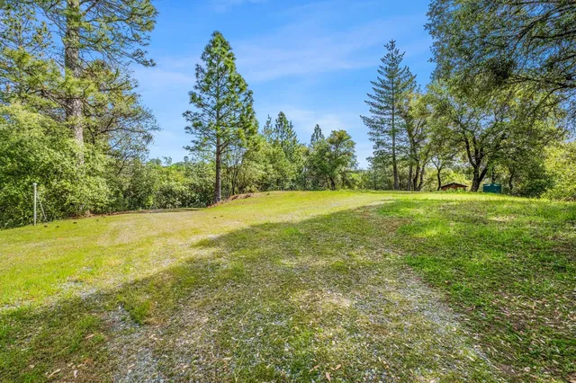 a view of a trees with a yard