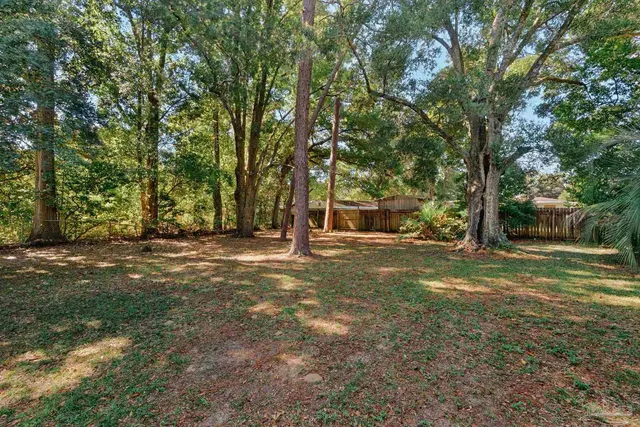 a view of a tree in the middle of a yard