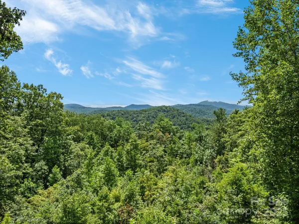 a view of a bunch of trees