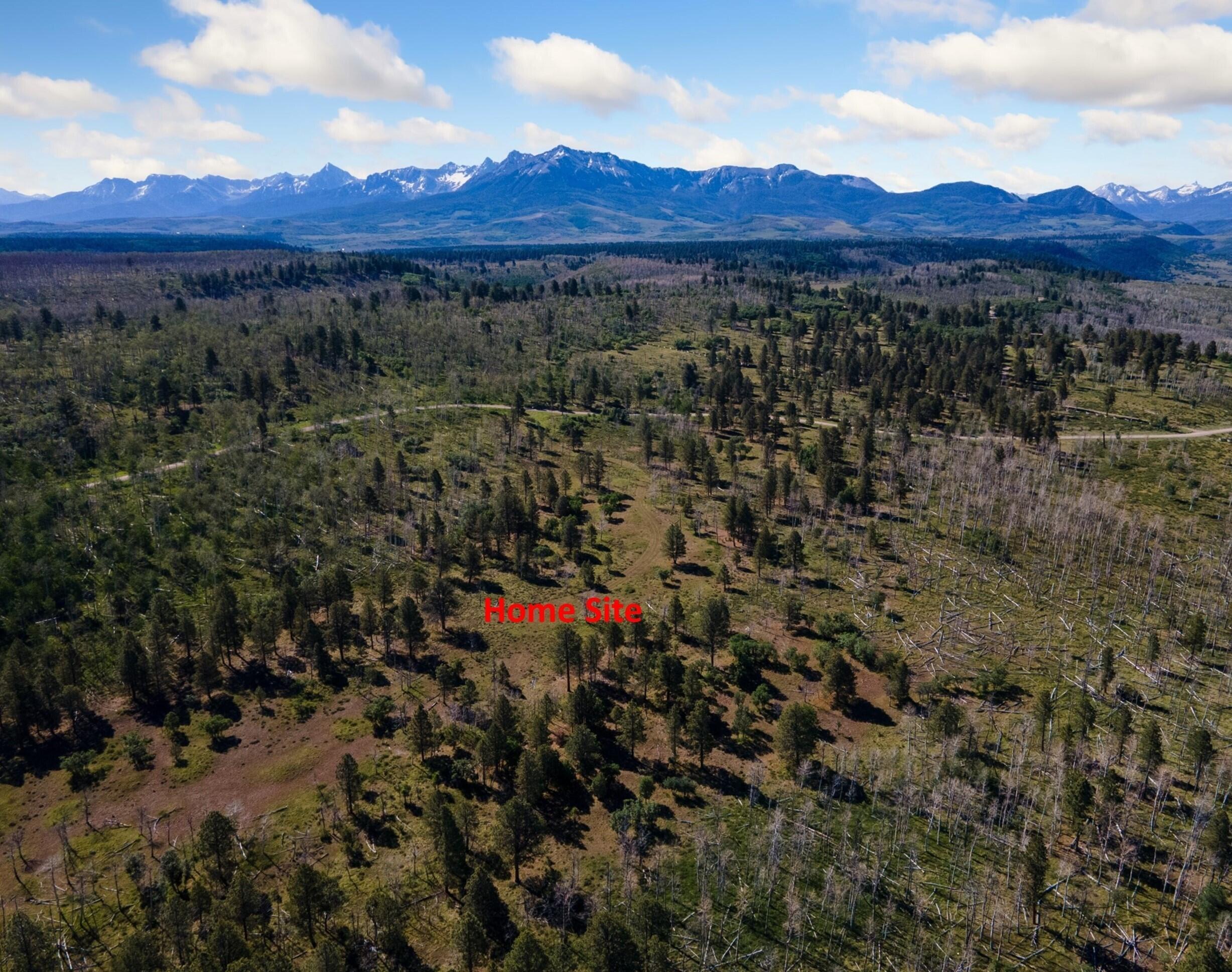 2991 Brown Ranch Road Placerville, CO 81430 - Photo 3 of 8 Lot 7 (Lupine), Brown Ranch