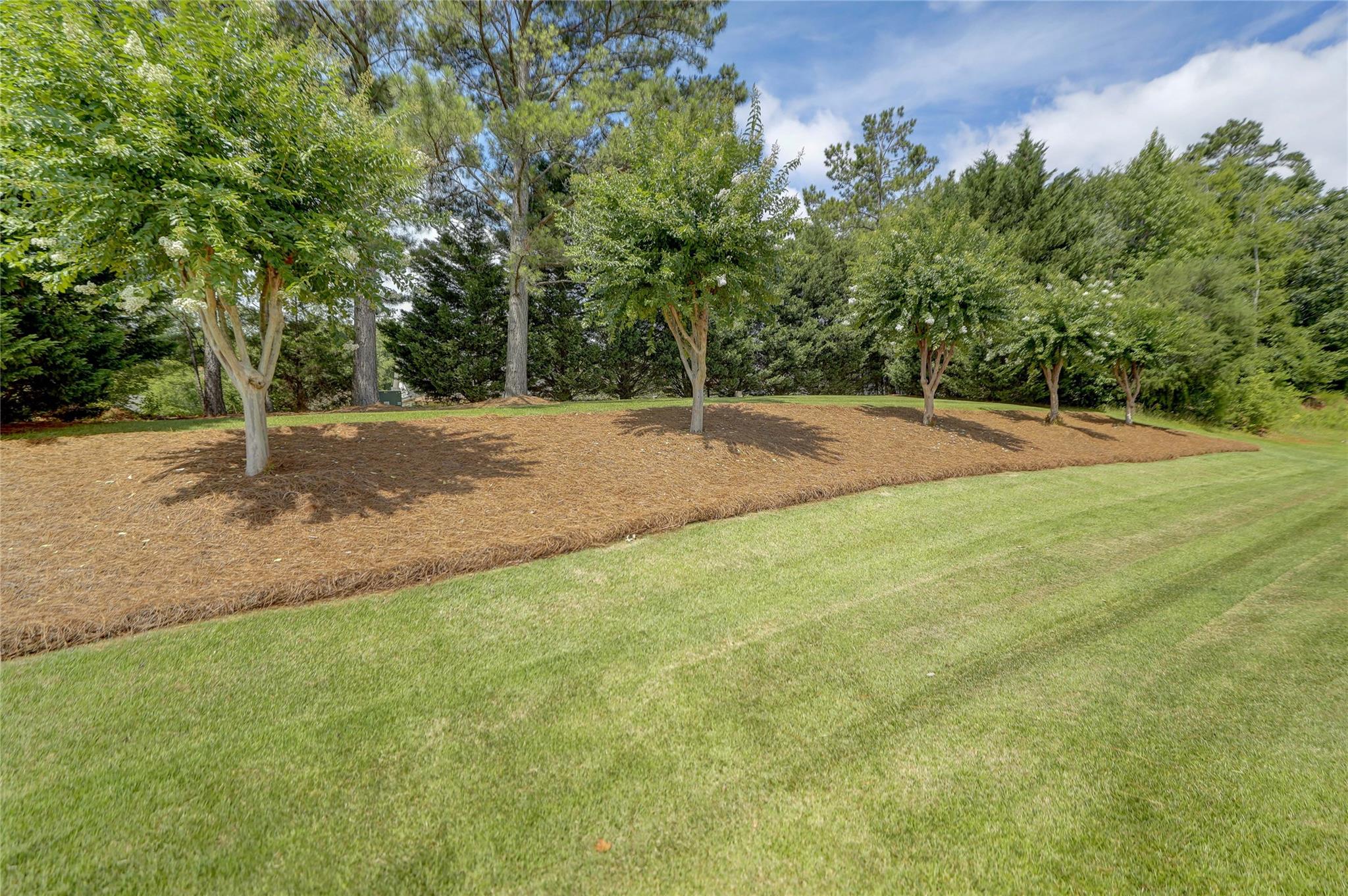 2005 Charles Avenue Lancaster, SC 29720 - Photo 39 of 42 a view of a yard with a tree