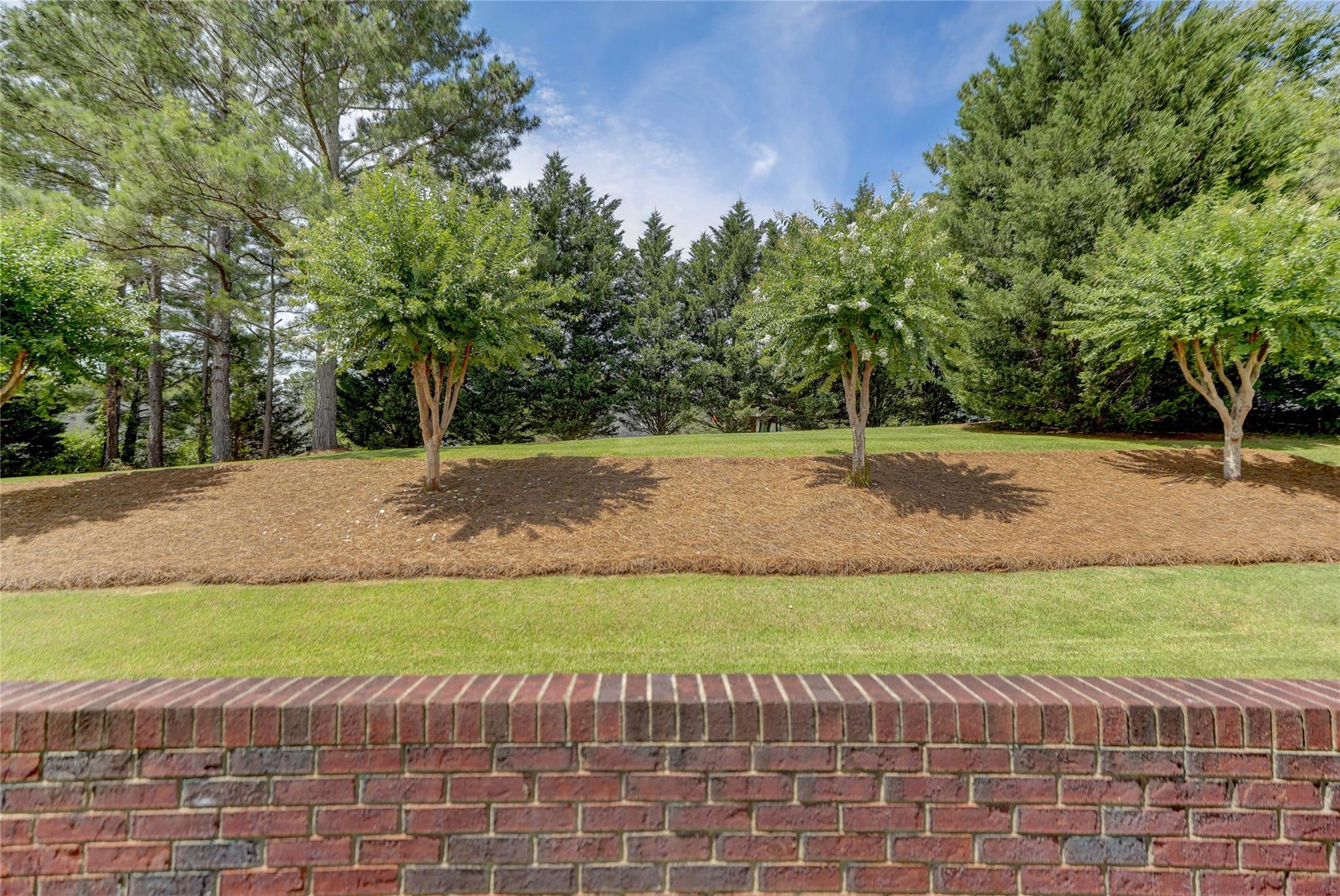 2005 Charles Avenue Lancaster, SC 29720 - Photo 42 of 42 a view of a yard with a fountain
