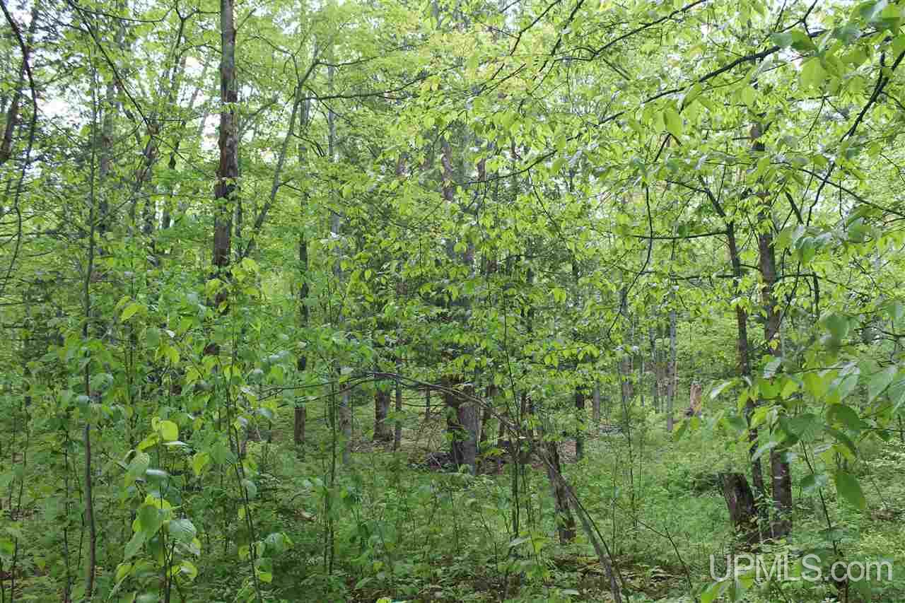 Tbd Off Kyllonen Road, Unit LAT 46 75685 LON 88 7526 Nisula, MI 49952 - Photo 8 of 24