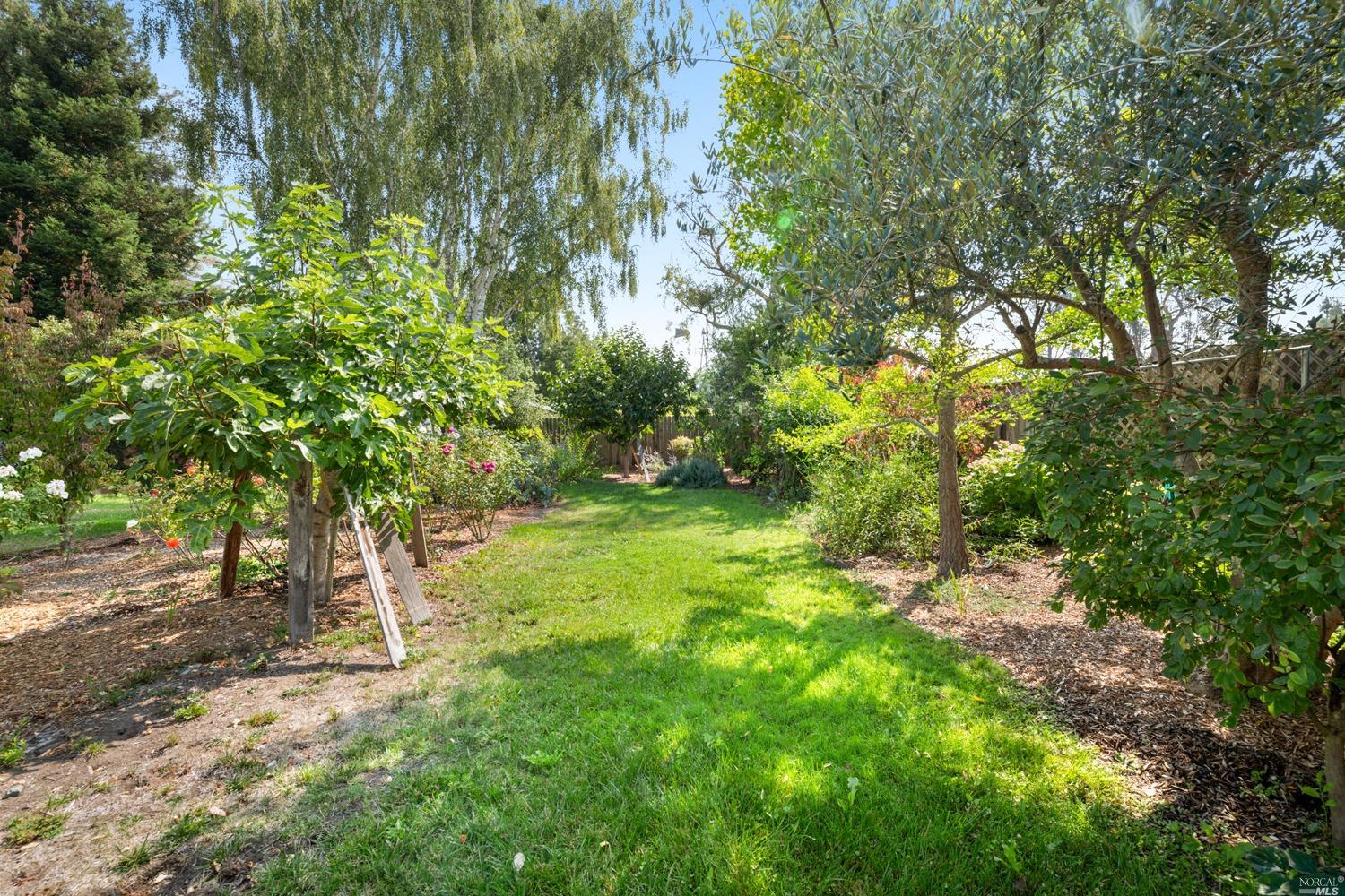 7125 Elphick Road Sebastopol, CA 95472 - Photo 1 of 1 a big yard with lots of green space and trees