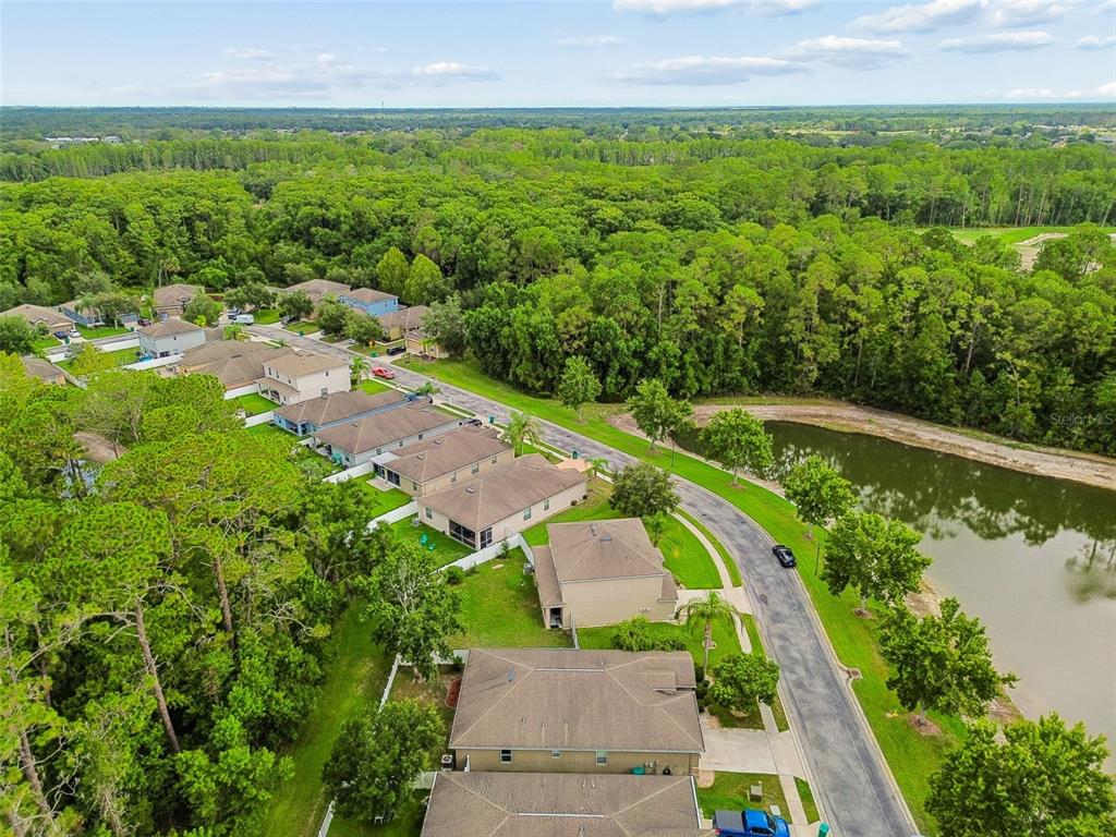 12815 White Bluff Road Hudson, FL 34669 - Photo 52 of 65