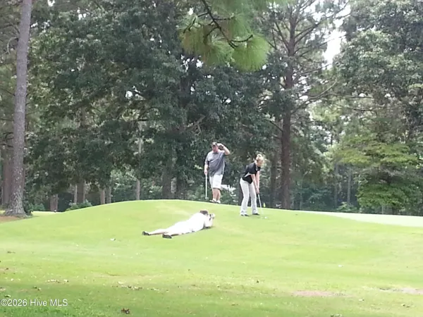 $295,000 | 22917 Highway 55, Oriental, NC 28571