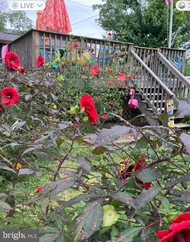 a view of a interior of the house